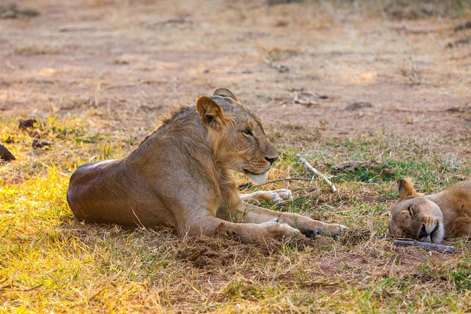 3-Day Samburu safari from Nairobi - Why Samburu feels different from the usual Kenya safari
