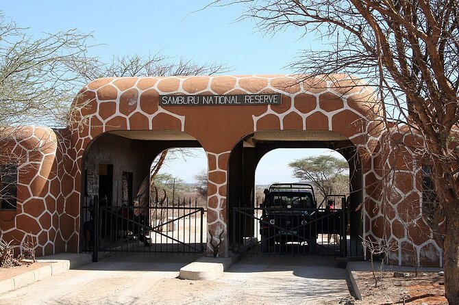 3-Day Samburu safari from Nairobi - Day 2: A full wildlife day in Samburu and Shaba