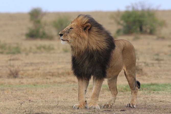 3-Day Sweetwaters: Ol Pejeta Conservancy Safari from Nairobi - Who should choose this safari