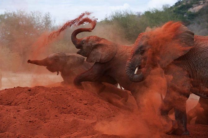 3-Day Tsavo East and Tsavo West Safari - What this Tsavo safari is really offering