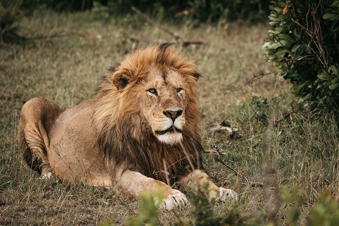 3-Day Tsavo East and Tsavo West Safari - Why a private Land Cruiser matters