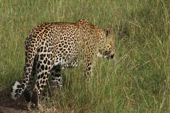 3-Day Tsavo East and Tsavo West Safari - Who will get the most from this trip