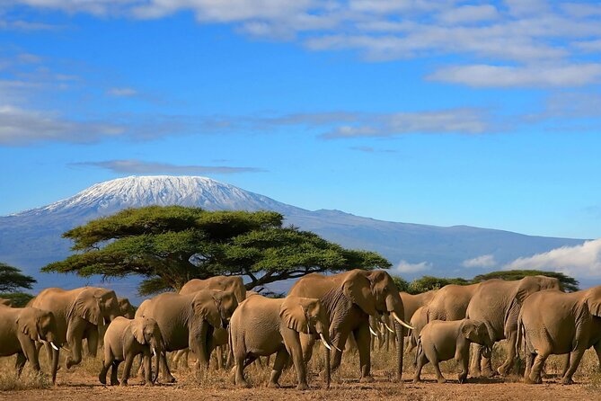 3 Days 2 Nights Amboseli National Park Tour - Key Points Before You Book