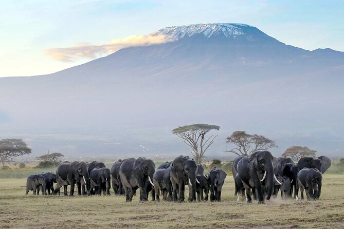 3 Days 2 Nights Amboseli National Park Tour - Meals, Packing, and the Pace You Should Expect