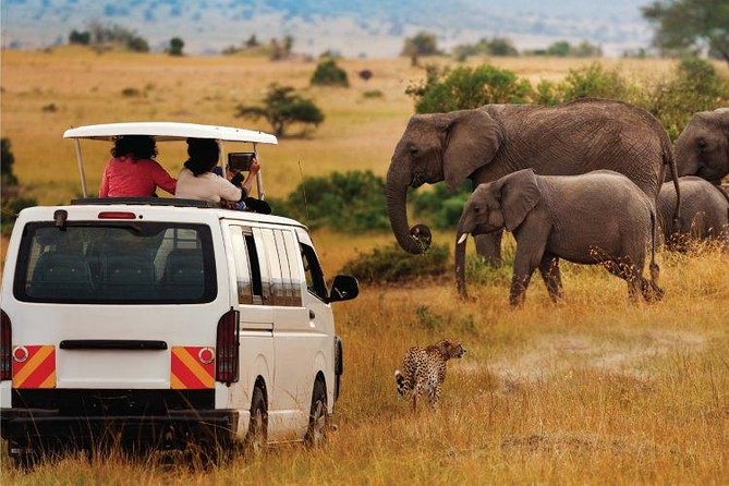 3 Days 2 Nights Amboseli Safari - Lodge comfort, food, and what all-inclusive really means