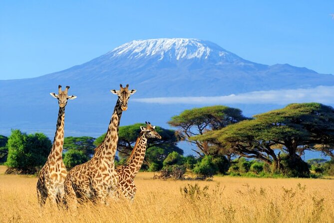 3 Days 2 Nights Amboseli Safari - Is $935 a fair price?