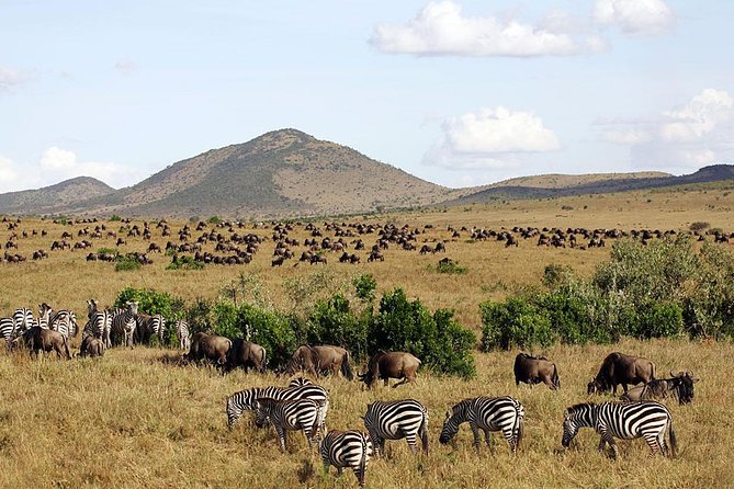 3 days 2 nights budget group safari to Maasai Mara National Reserve - Lunch Beside the Mara River