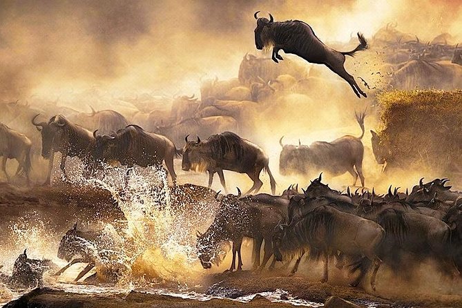 3 days 2 nights budget group safari to Maasai Mara National Reserve - Day 3: A Maasai Culture Option and the Road Back