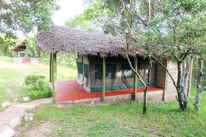 3 days 2 nights budget group safari to Maasai Mara National Reserve - Camping, Food, and Comfort
