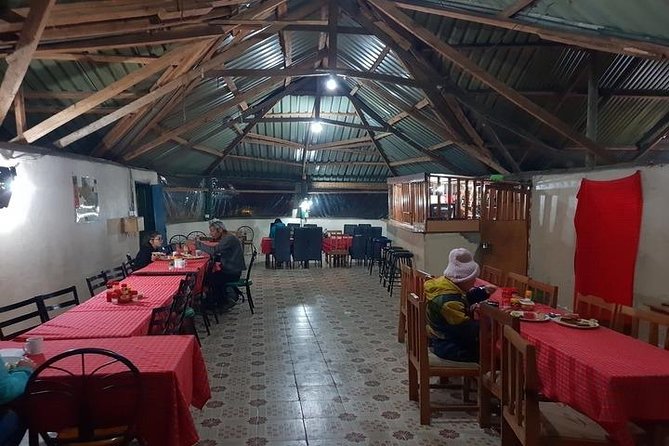 3 days 2 nights budget group safari to Maasai Mara National Reserve - The Big Tradeoff: Van Comfort Versus Safari Value