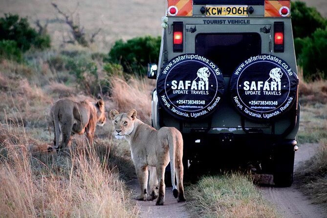 3 Days 2 nights Group joining Midrange Safari Tour in Masai maraa - Key Points At a Glance