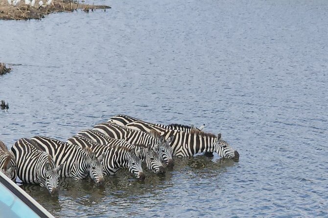 3 Days - 2 Nights Maasai Mara from Nairobi - Food, service, and comfort on the road
