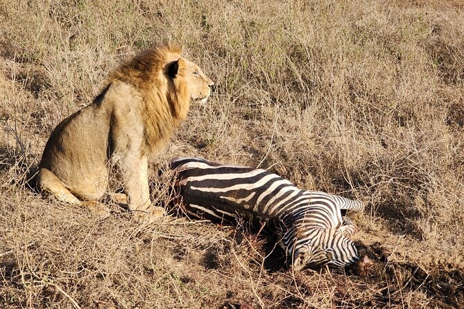 3 Days - 2 Nights Maasai Mara from Nairobi - Who will enjoy this trip most