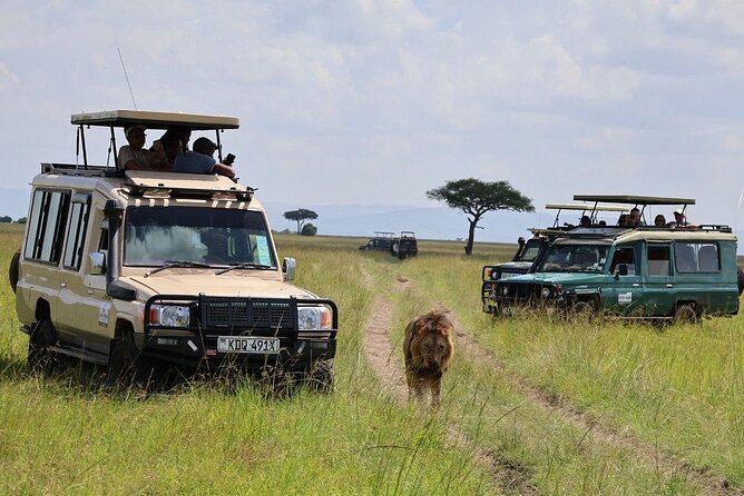 3 Days 2 Nights Maasai Mara Group Safari by 4WD From Nairobi - The full-day Mara safari from 7:00 am