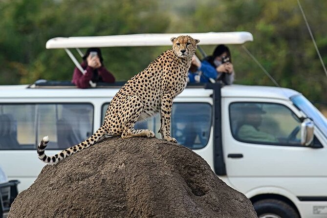3 Days 2 Nights Maasai Mara Group Safari by 4WD From Nairobi - Maasai culture and what costs extra