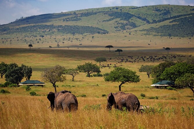 3 Days 2 Nights Maasai Mara National Reserve Joining Safari - Key points at a glance