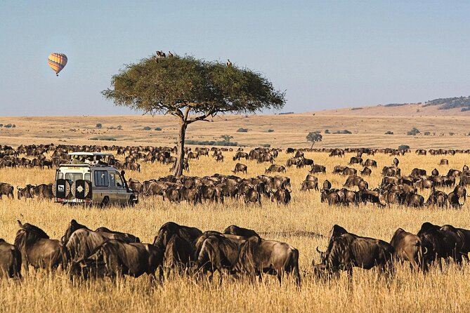 3 Days 2 Nights Maasai Mara National Reserve Joining Safari - Comfort, timing, and the practical tradeoffs