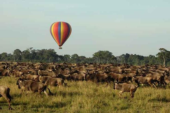 3 Days 2 Nights Masai Mara Joining Safari From Nairobi - Food, camp, and the shared-safari setup