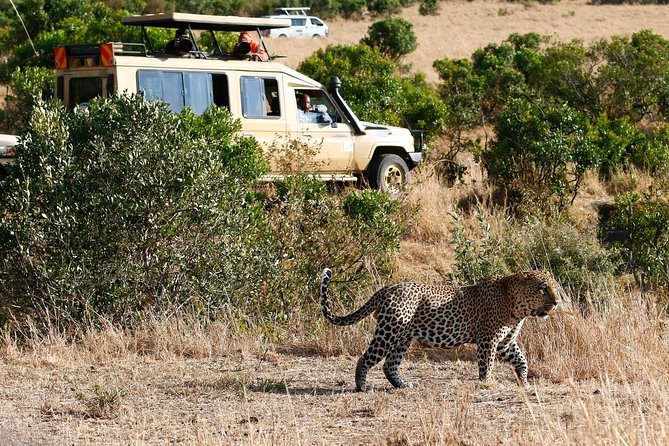3 Days 2 Nights Masai Mara Joining Safari From Nairobi - How to prepare for the long road and open vehicle