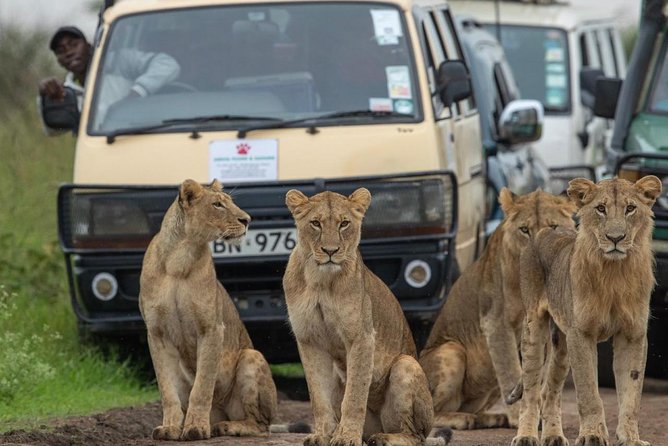 3 Days 2 Nights Masai Mara Joining Safari From Nairobi - Day one: Great Rift Valley views and the road to the Mara