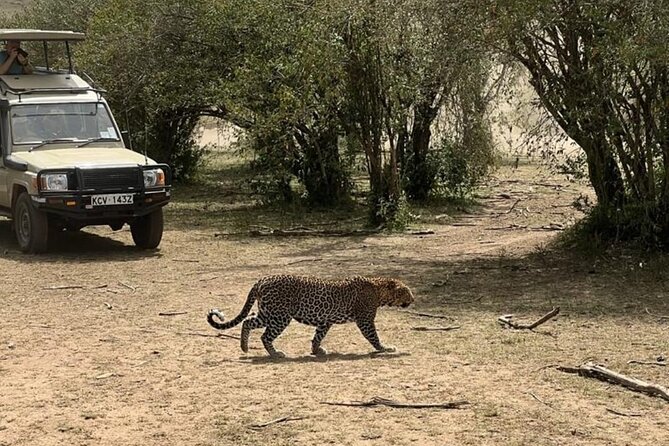 3 Days 2 Nights Masai Mara Road Transport Safari - The Full Day in Masai Mara National Reserve
