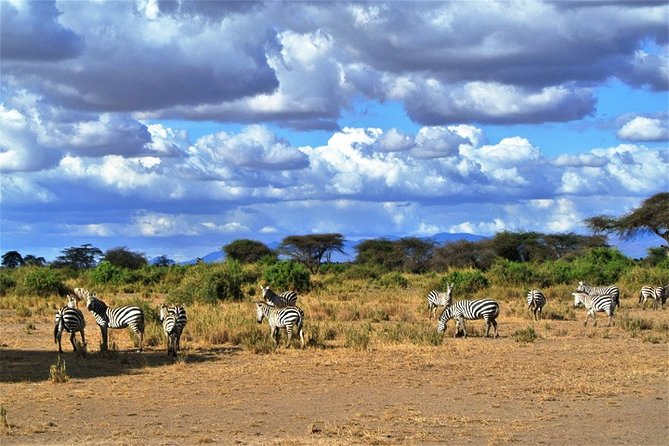 3 Days, 2 Nights Safari - Amboseli National Park and Tsavo West Adventure Safari - Key points to know before booking