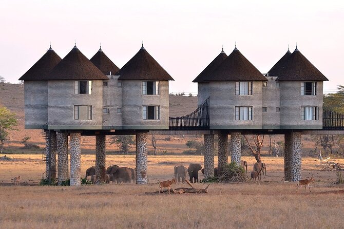 3 Days 2 Nights Safari to Saltlick Lodge from Nairobi - The 6 a.m. departure from Nairobi