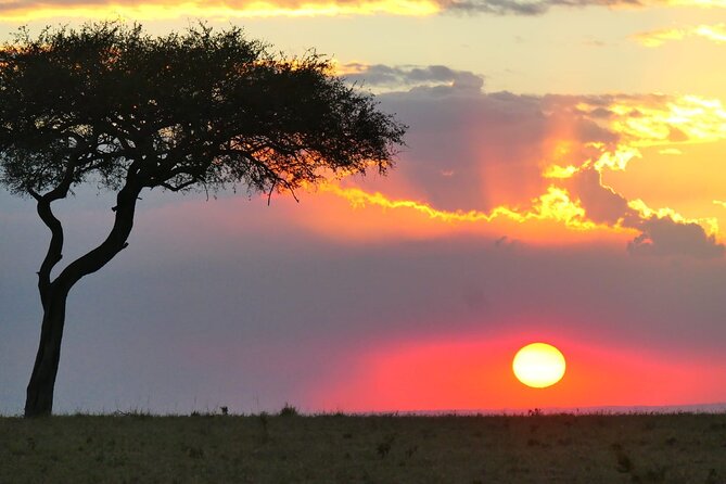 3 Days 2 Nights Safari to Saltlick Lodge from Nairobi - A full day in Taita Hills Wildlife Sanctuary