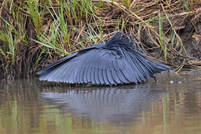 3 Days 2 Nights Safari to Saltlick Lodge from Nairobi - Watching wildlife from above the water hole