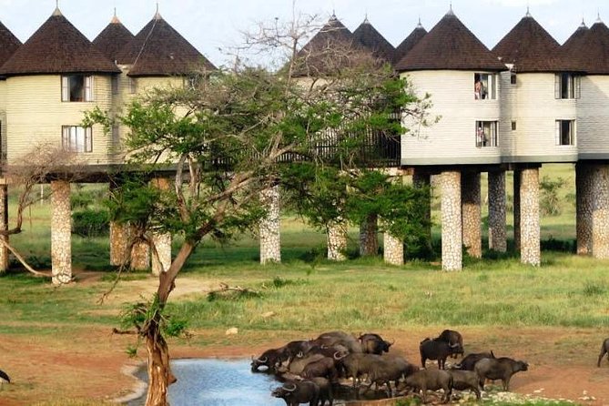 3 Days 2 Nights To Sarova Saltlick And Taita Hills - Key points at a glance