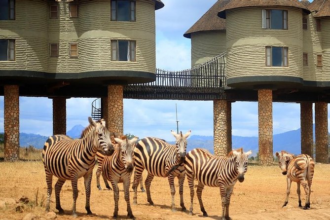 3 Days(2 nights) Tsavo East Tour & Saltlick (Cost based on minimum 2 persons) - Day one in Tsavo East: a useful first game drive