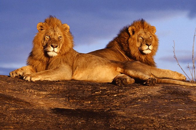 3 Days (2 nights); Tsavo East & West Safari: - Why Tsavo makes a strong safari choice from Mombasa