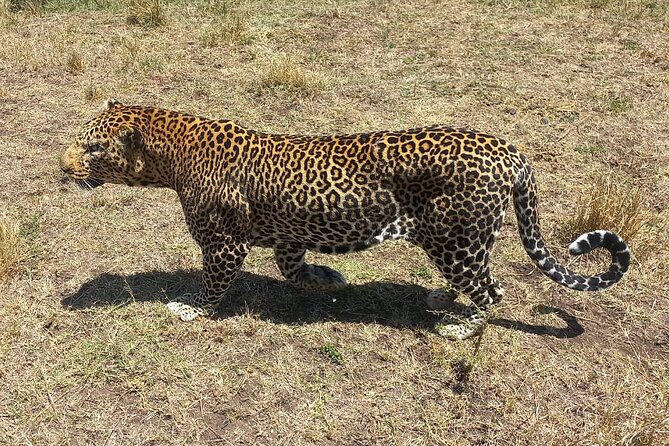 3 Days Adventure Tour in Masai Mara - Nairobi pickup and the Great Rift Valley viewpoint