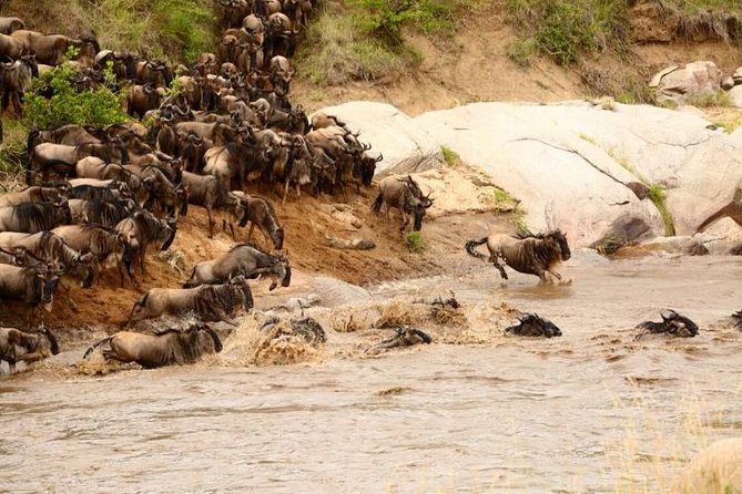 3 Days adventurous Maasai Mara Budget Group Safari - What $850 buys you