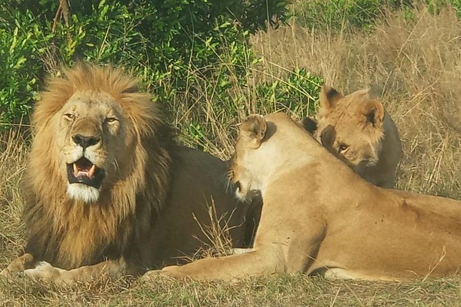 3 Days adventurous Maasai Mara Budget Group Safari - Camp comfort, food, and what to pack