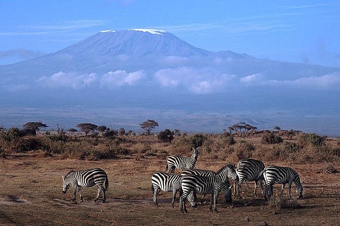 3 days Amboseli, Land of Kilimanjaro - Practical points that can make the trip better