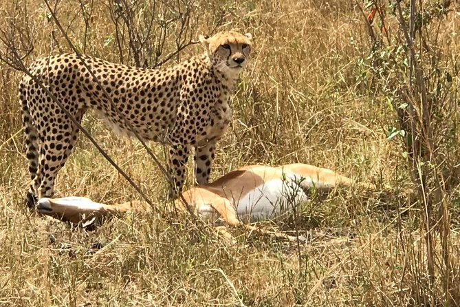 3 days Amboseli, Land of Kilimanjaro - Day 1: Nairobi to Amboseli and the first afternoon drive