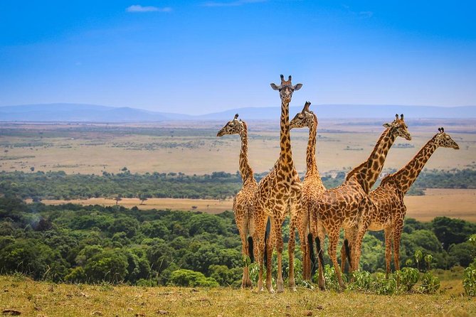 3 Days Amboseli National Park safari - Day one: Nairobi to Amboseli and the first afternoon drive