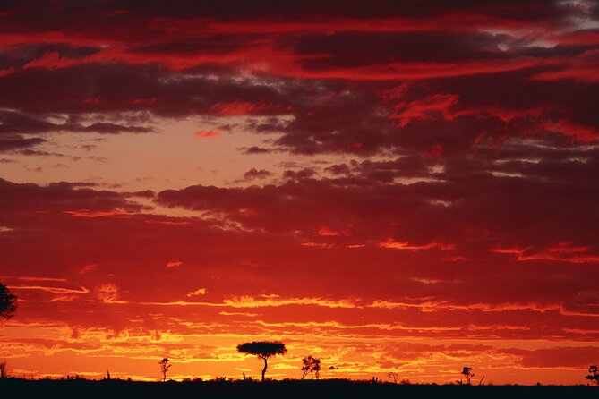 3 Days and 2 Nights Adventure in Masai Mara - Leaving Nairobi at 6:00 am