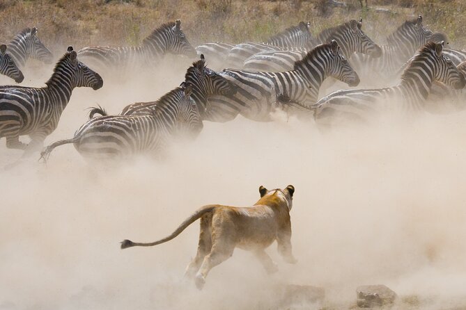 3 Days and 2 Nights Adventure in Masai Mara - The return to Nairobi on Day 3