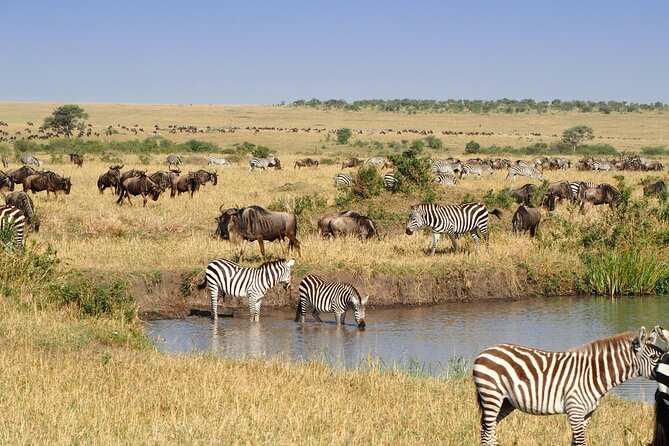 3 Days and 2 Nights Adventure in Masai Mara - What is included, and what costs extra
