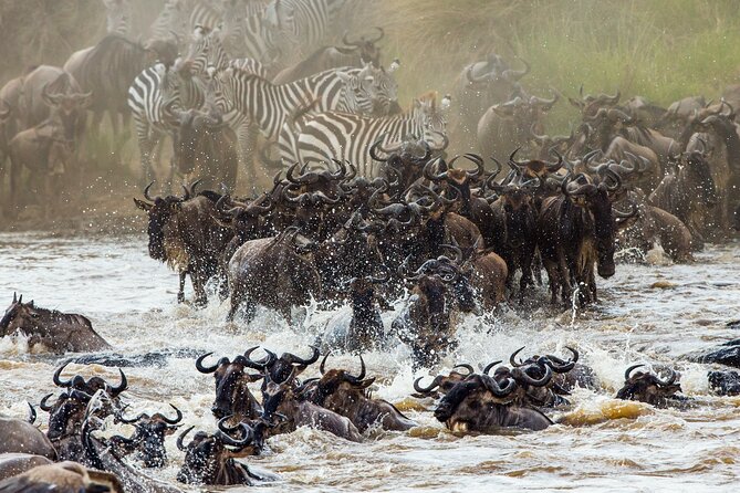 3 Days and 2 Nights Adventure in Masai Mara - Entering Masai Mara after the Rift Valley