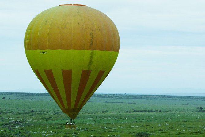 3 Days Budget Masai Mara Safari - The private format and what it changes