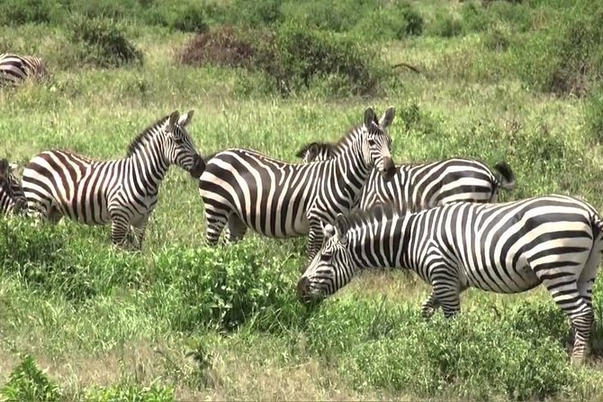 3 days group joining safari to Maasai Mara with a Land Cruiser Jeep - What the $221 safari really gives you