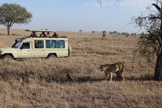 3 days group joining safari to Maasai Mara with a Land Cruiser Jeep - Guide quality can make or break the trip