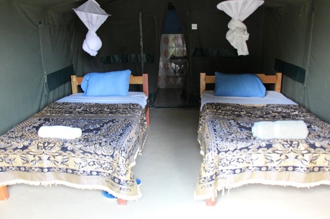 3 days group joining safari to Masai Mara with a Land CruiserJeep - Day 2: The full-day search for the Big Five