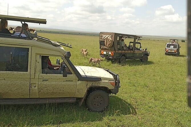3 days group joining safari to Masai Mara with a Land CruiserJeep - Day 3: A short final option and the return to Nairobi