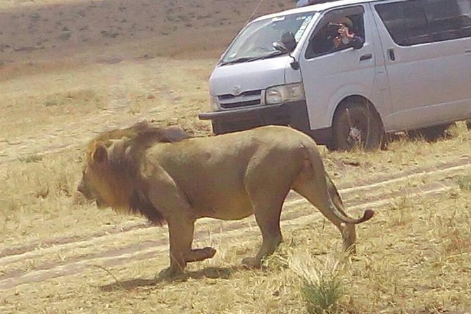3 Days Maasai Mara Budget Group Safari - Why three days is enough for a first Mara safari