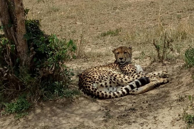 3 Days Maasai Mara Budget Group Safari - Small details that make the trip easier