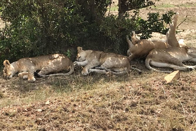 3 Days Maasai Mara Budget Group Safari - Day one, from Nairobi to the Mara